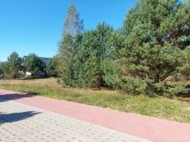 Działka budowlana Czarna Woda, ul. Starowiejska. Zdjęcie 4