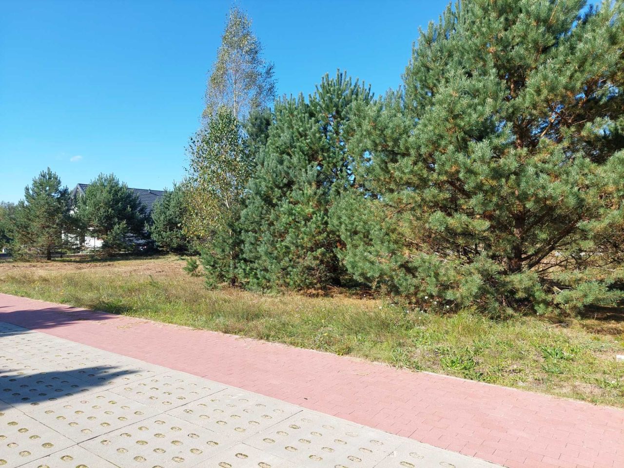 Działka budowlana Czarna Woda, ul. Starowiejska. Zdjęcie 5