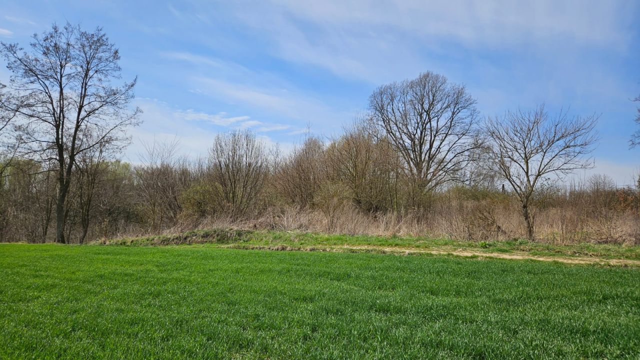 Działka rekreacyjna Ulina Wielka. Zdjęcie 4