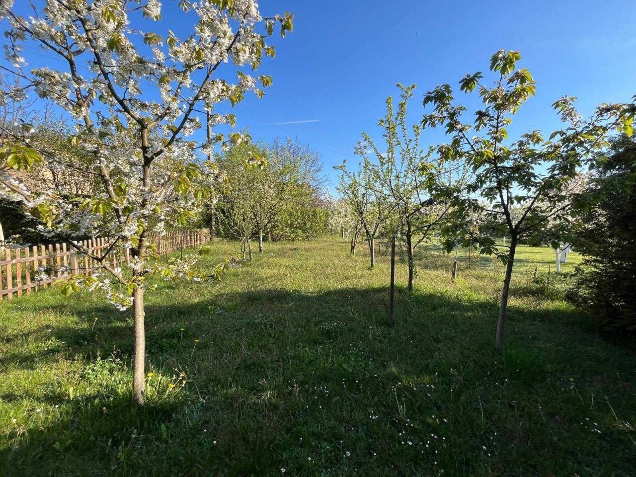 Działka rod Racibórz Brzezie, ul. 1 Maja. Zdjęcie 7