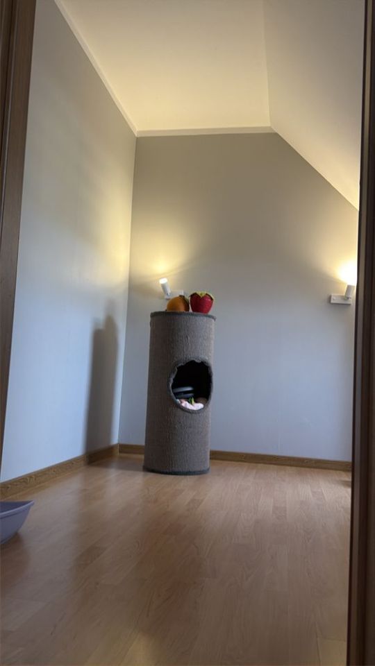 Mieszkanie 3-pokojowe Malbork. Zdjęcie 8