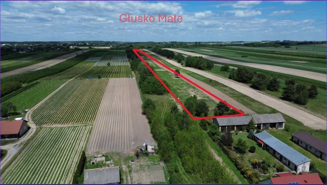Działka budowlana Głusko Małe. Zdjęcie 2