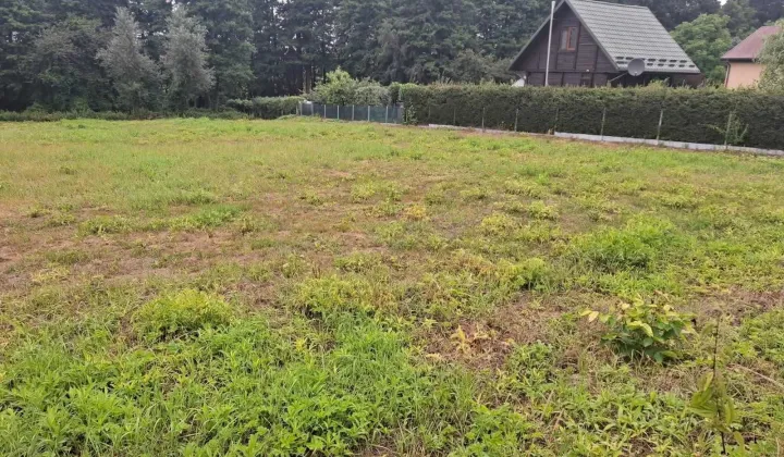 Działka budowlana Kochanów