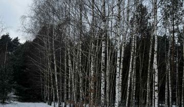 Działka budowlana Modrzew, Modrzew