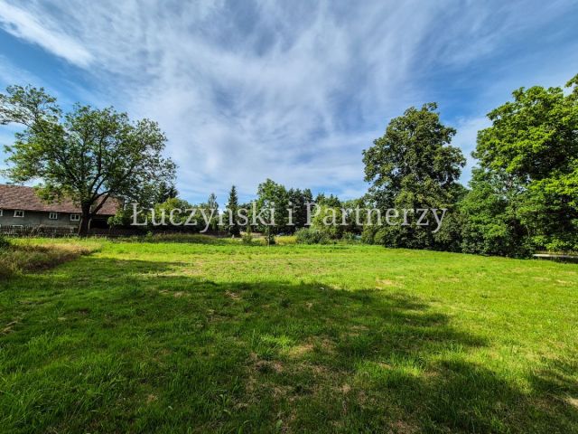 Działka inwestycyjna Płóczki Dolne. Zdjęcie 3
