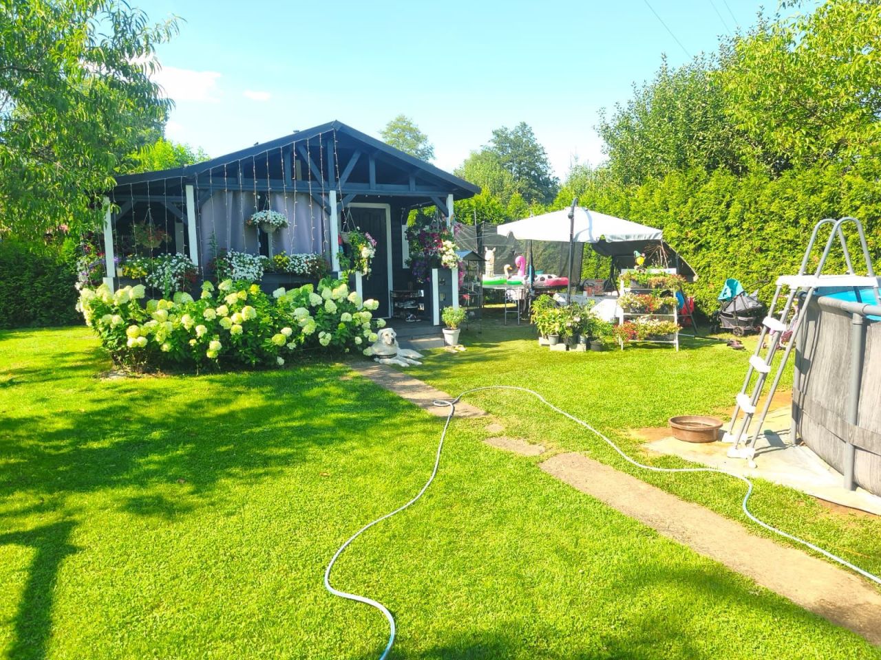 Działka rod Tomaszów Mazowiecki Wilanów. Zdjęcie 1