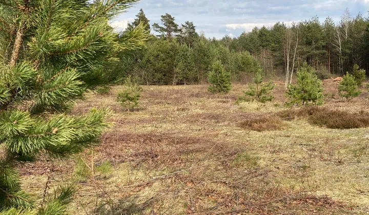 Działka budowlana Rapy Dylańskie