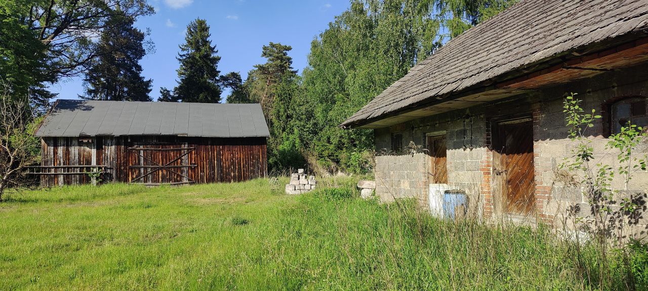 Działka rekreacyjna Jankowice. Zdjęcie 4