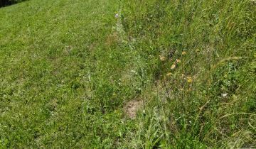 Działka rolno-budowlana Szczawnica Kunie, ul. Kunie