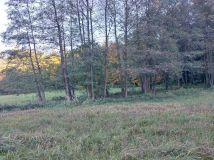 Działka budowlana Jaworze