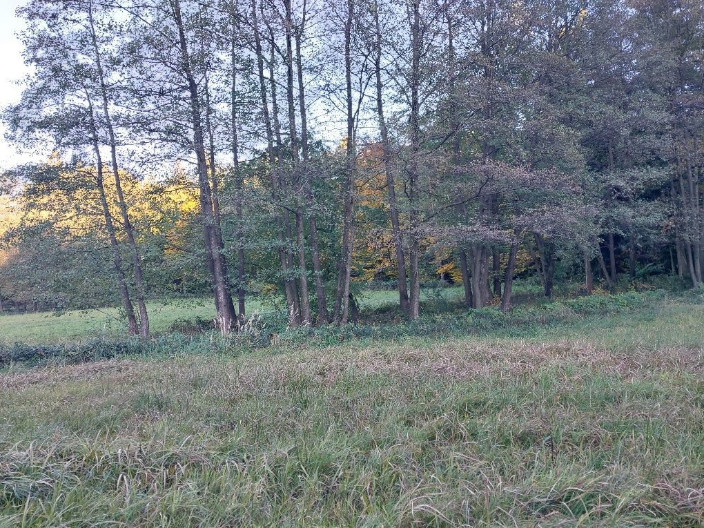 Działka budowlana Jaworze