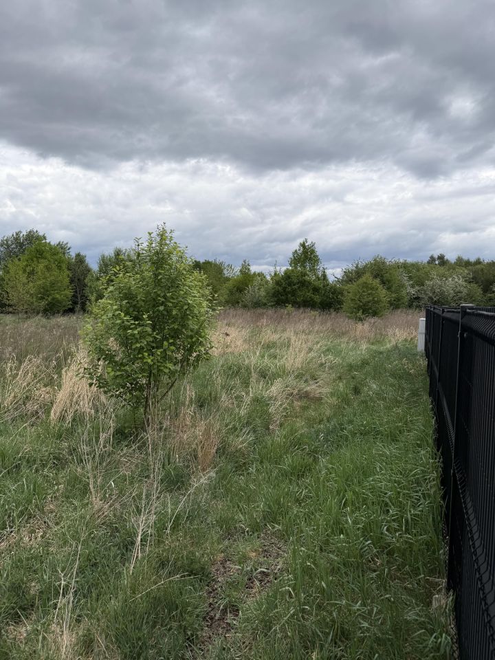 Działka budowlana Brwinów, ul. Wygonowa. Zdjęcie 6
