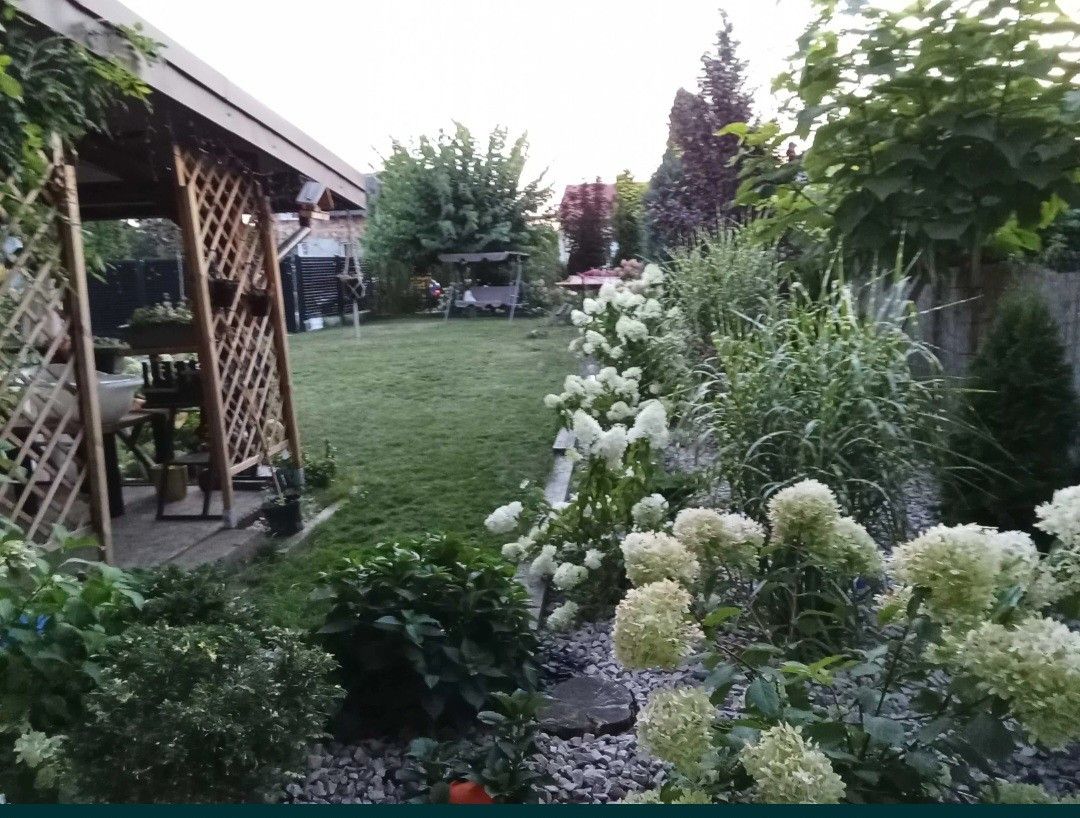 dom wolnostojący, 4 pokoje Sochaczew. Zdjęcie 9