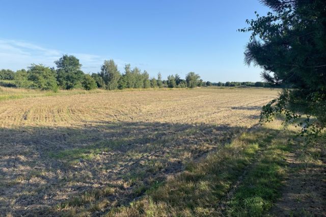 Działka budowlana Zimnica. Zdjęcie 1