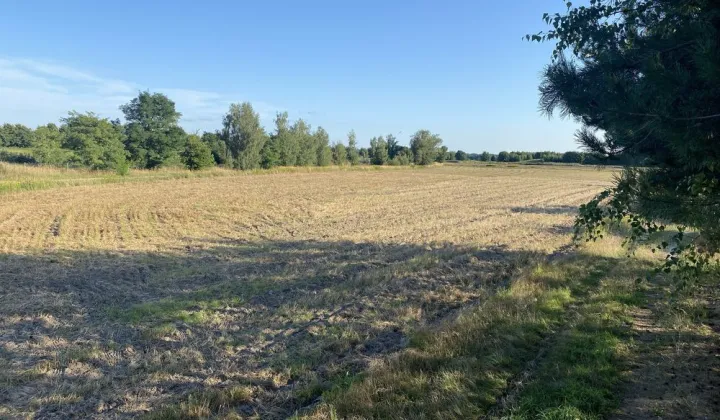 Działka budowlana Zimnica