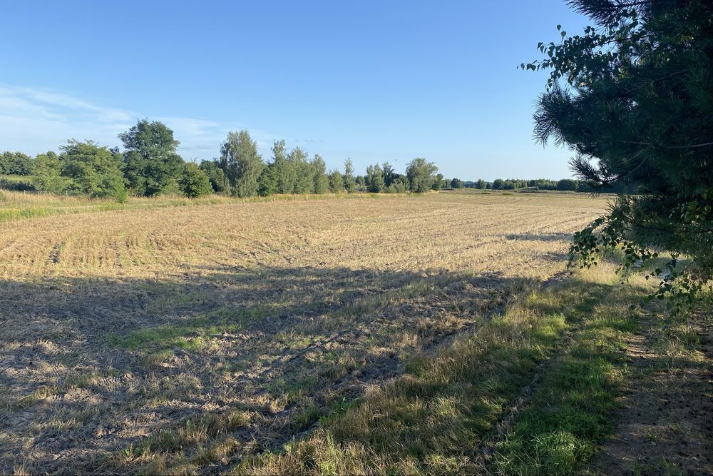 Działka budowlana Zimnica. Zdjęcie 1