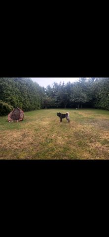 dom wolnostojący, 6 pokoi Włodowice, ul. Jurajska. Zdjęcie 25