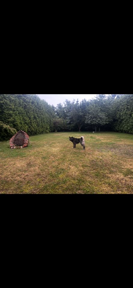 dom wolnostojący, 6 pokoi Włodowice, ul. Jurajska. Zdjęcie 25