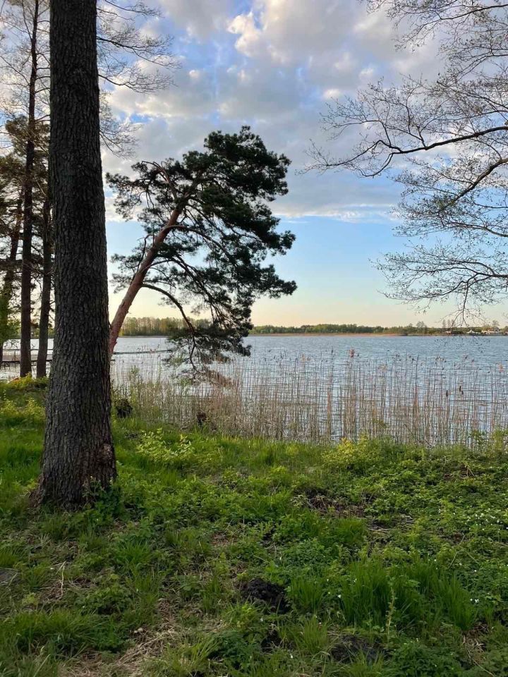 Działka budowlana Okuninka. Zdjęcie 7