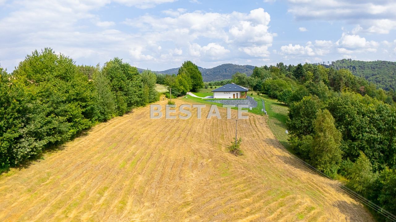 Działka budowlana Paleśnica. Zdjęcie 2