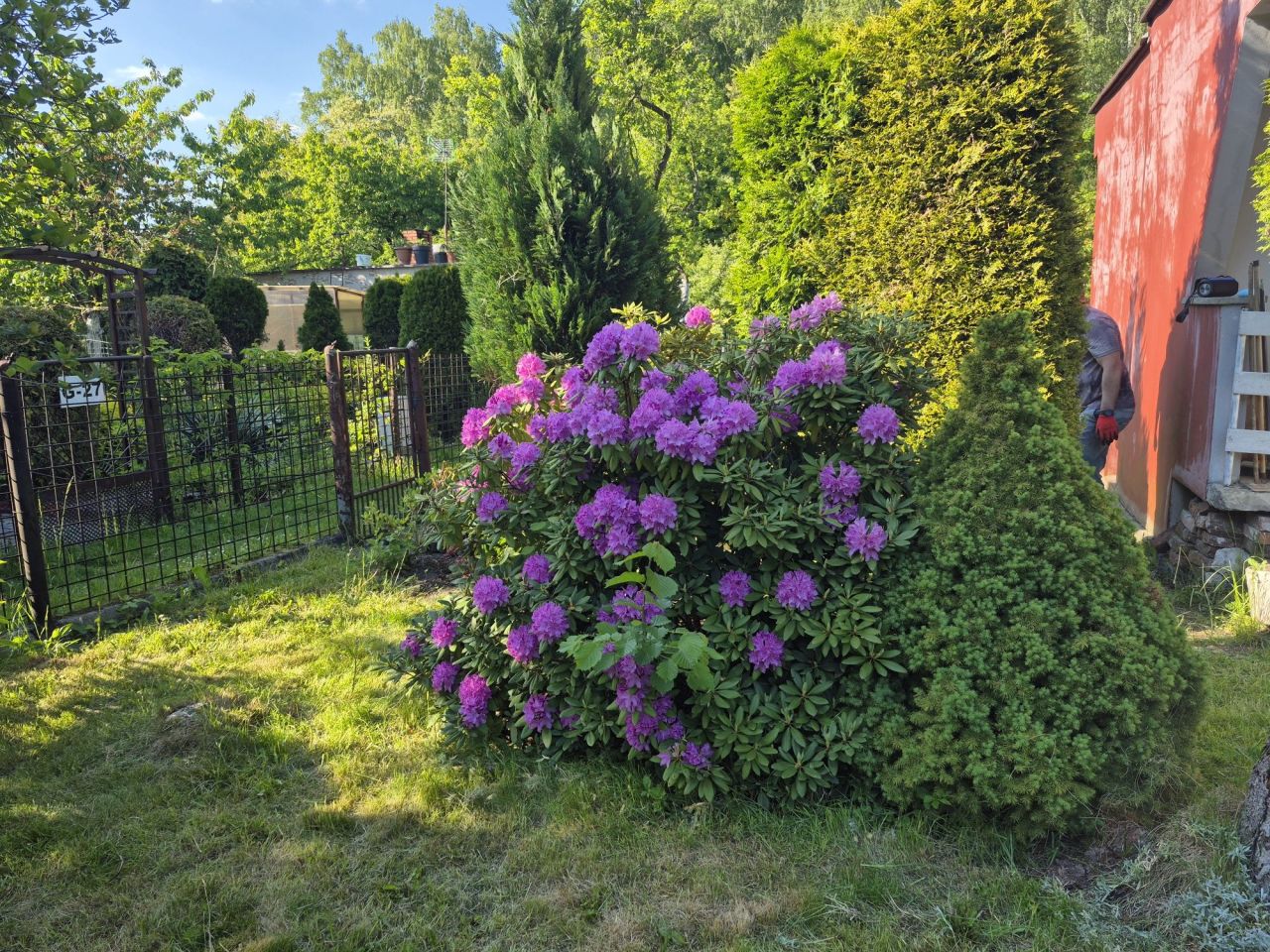 Działka rod Sosnowiec Zagórze, ul. Kępa. Zdjęcie 3