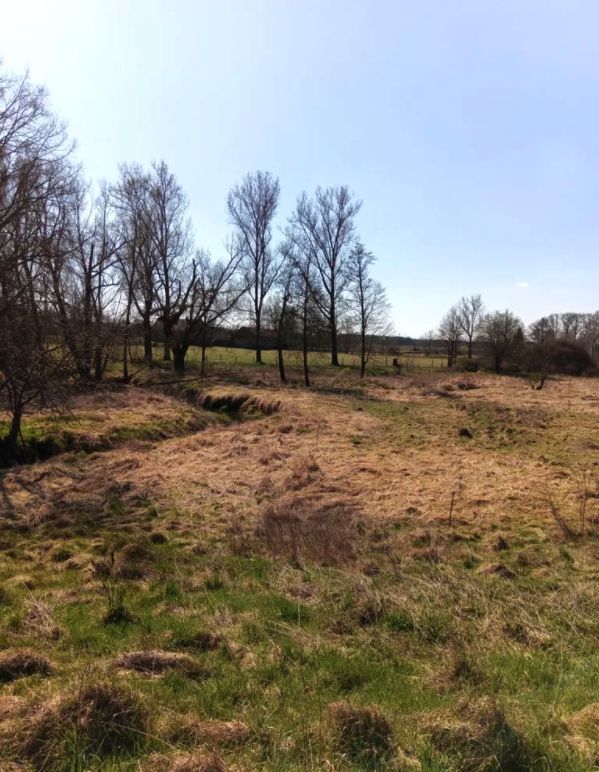 Działka rekreacyjna Brzeźnica, Brzeźnica. Zdjęcie 2