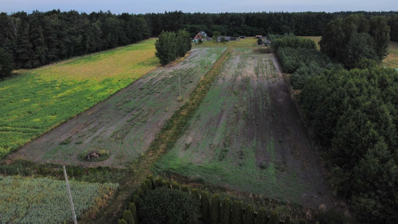 Działka budowlana Brzeziny. Zdjęcie 4