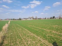 Działka rolno-budowlana Zawada Reforma. Zdjęcie 2