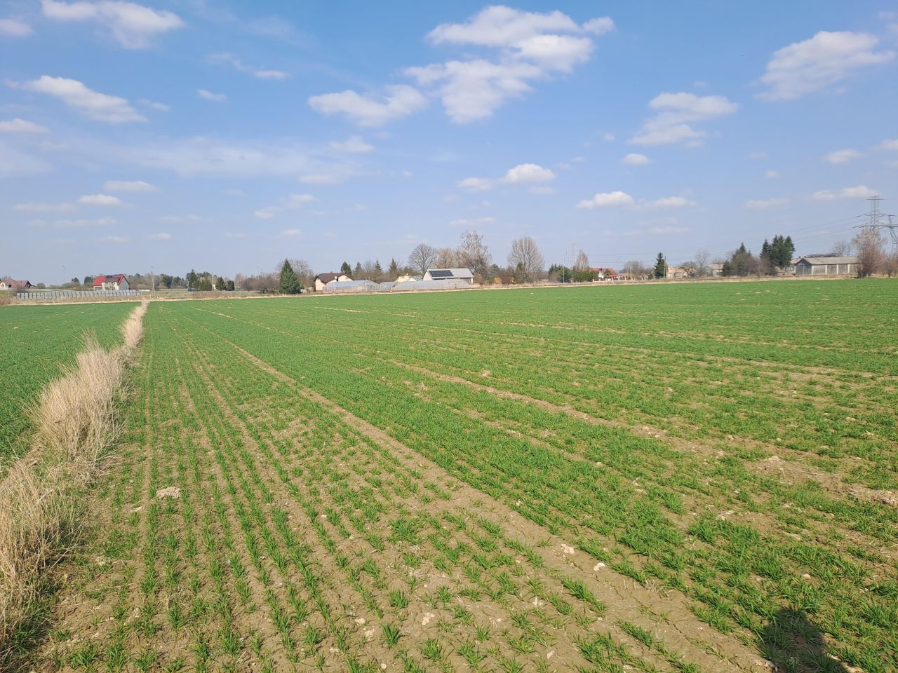 Działka rolno-budowlana Zawada Reforma. Zdjęcie 3