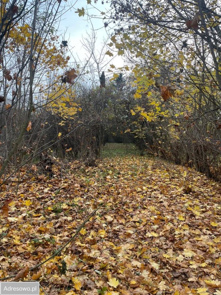 bliźniak, 2 pokoje Jędrzejów, ul. Okrzei. Zdjęcie 8