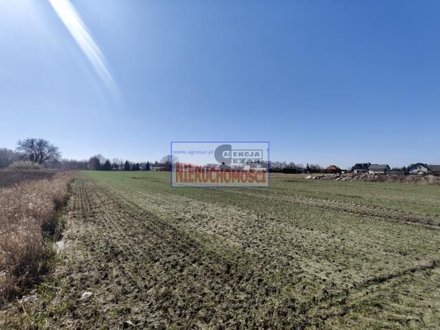 Działka budowlana Królewiec. Zdjęcie 4