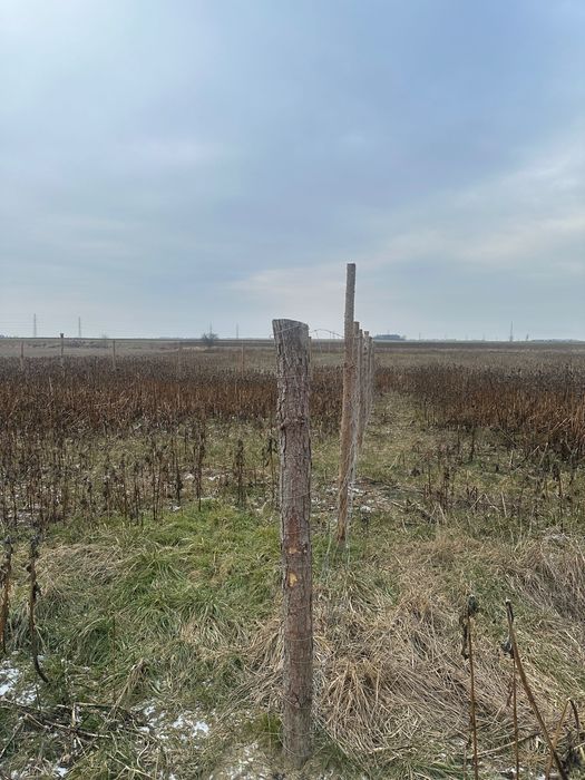 Działka budowlana Zielęcice, ul. Długa. Zdjęcie 3