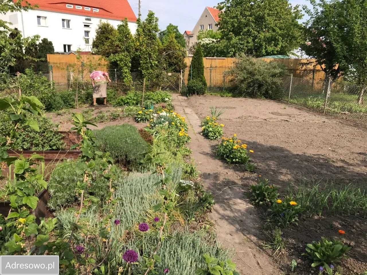 Działka rod Wrocław Klecina, ul. Karmelkowa. Zdjęcie 7