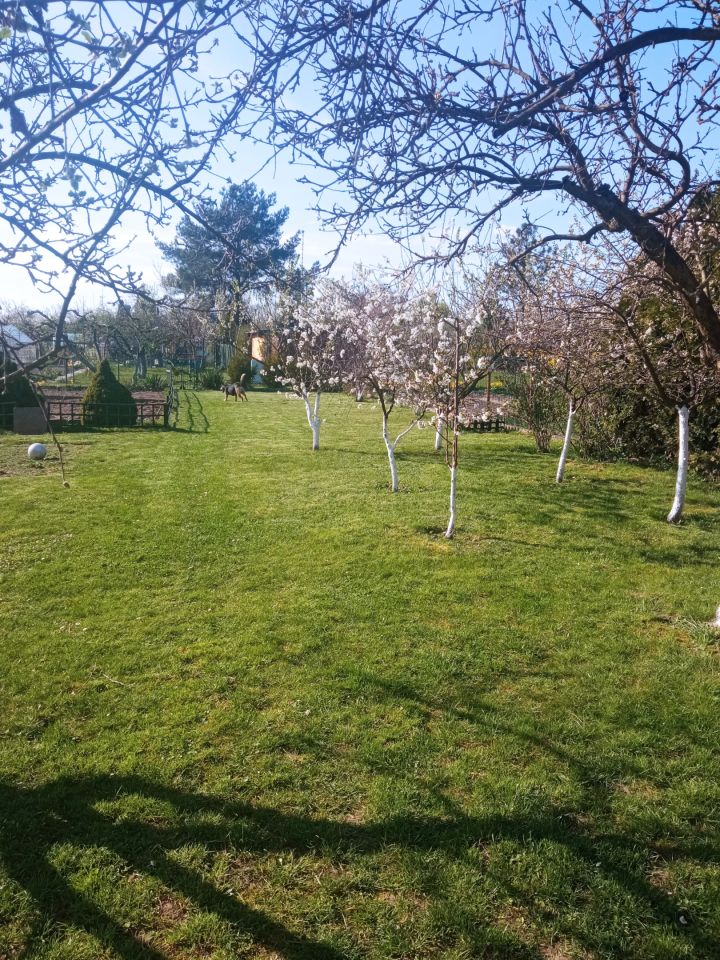 Działka rod Oleśnica, ul. Wileńska. Zdjęcie 2