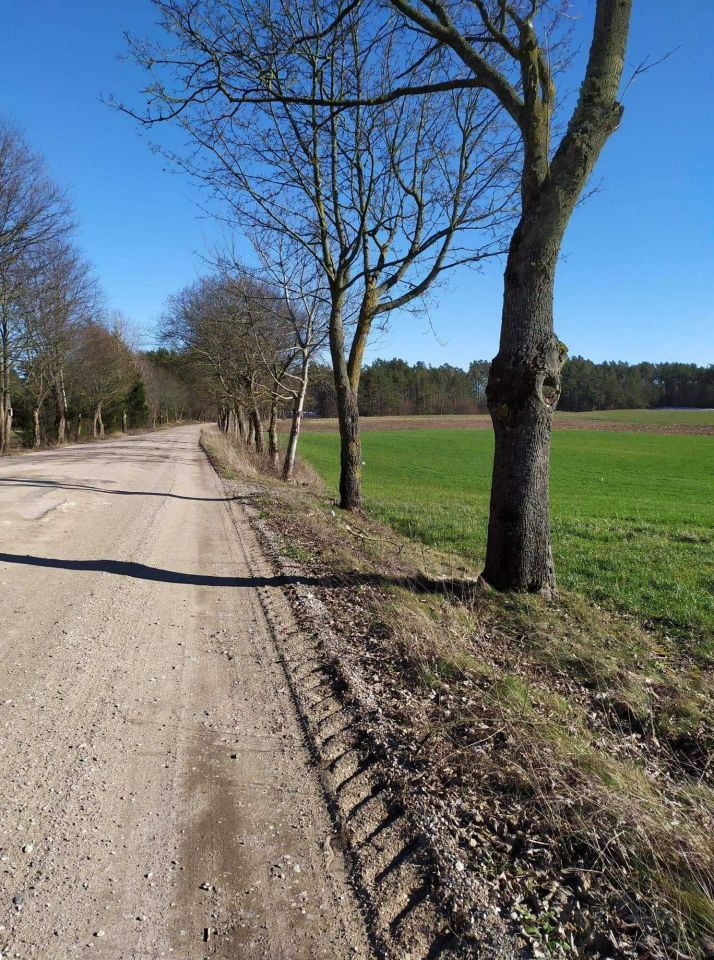 Działka budowlana Faszcze. Zdjęcie 2