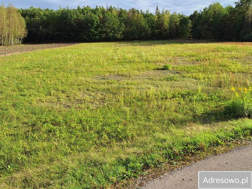 Działka budowlana Świdrówka. Zdjęcie 5