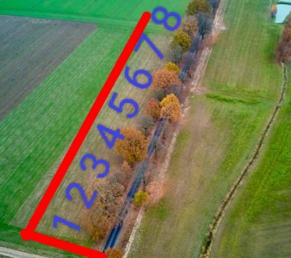 Działka budowlana Mały Buczek. Zdjęcie 2