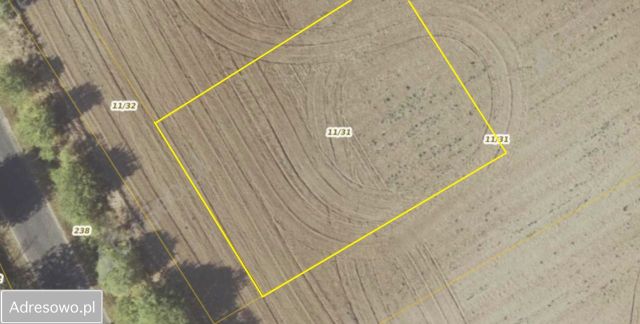 Działka budowlana Przybrodzin. Zdjęcie 1