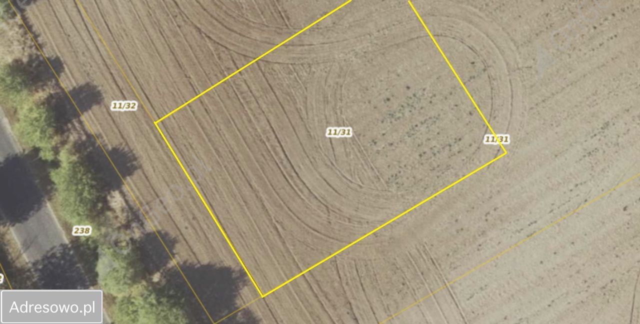 Działka budowlana Przybrodzin. Zdjęcie 1