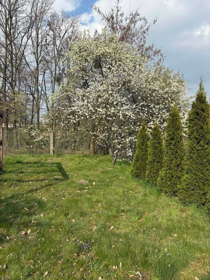 Działka rod Oława. Zdjęcie 1