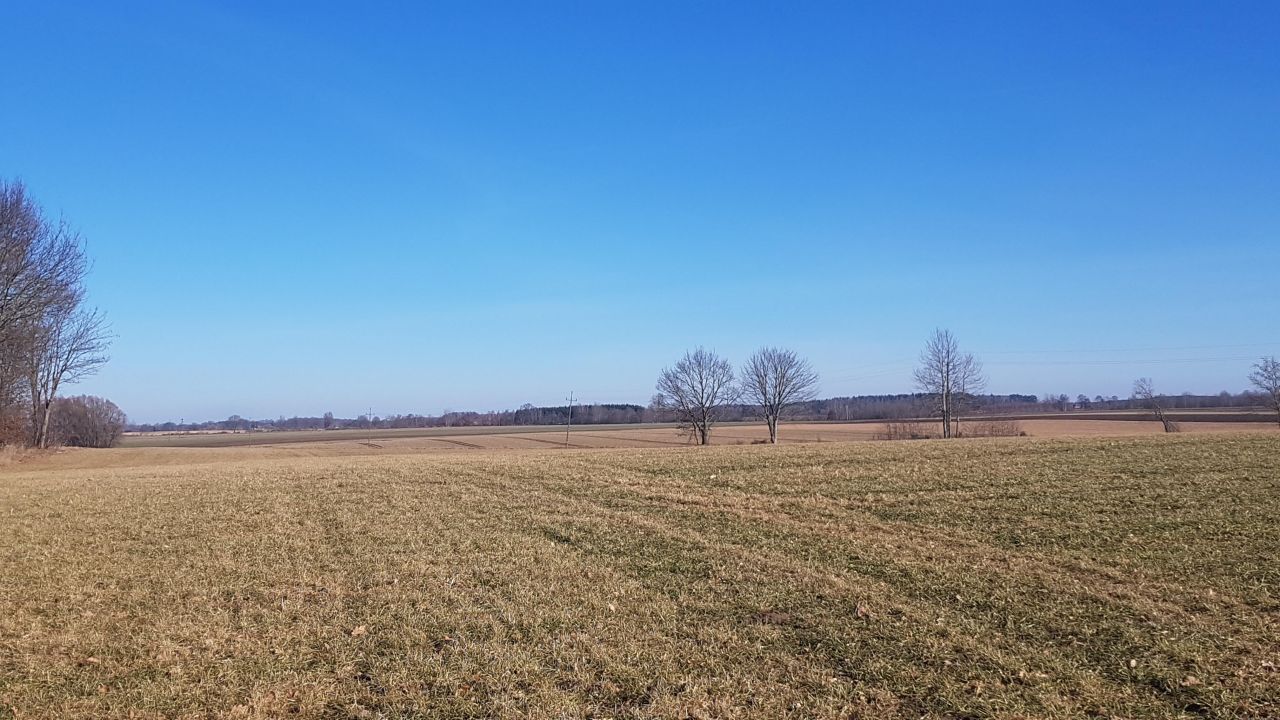 Działka rolna Dargikowo. Zdjęcie 7