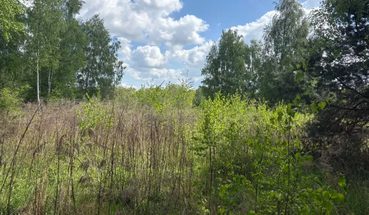 Działka budowlana Anielin Swędowski, ul. Kwiecista
