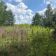 Działka budowlana Anielin Swędowski, ul. Kwiecista. Zdjęcie 3