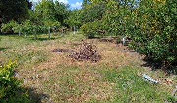 Działka rod Radom, ul. Uniwersytecka