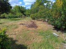 Działka rod Radom, ul. Uniwersytecka. Zdjęcie 1