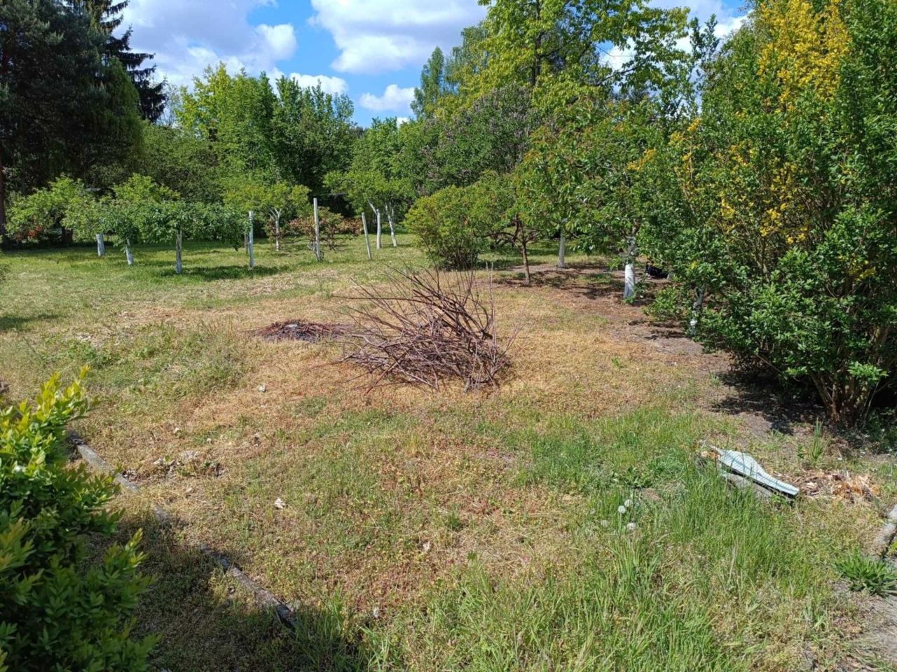 Działka rod Radom, ul. Uniwersytecka. Zdjęcie 2