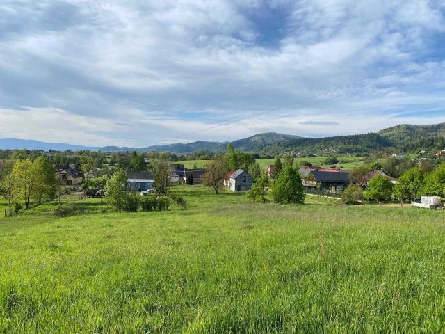 Działka rolno-budowlana Lipowa, ul. Polarna. Zdjęcie 3