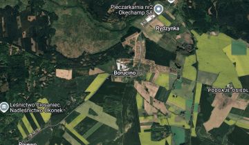 gospodarstwo Borucino