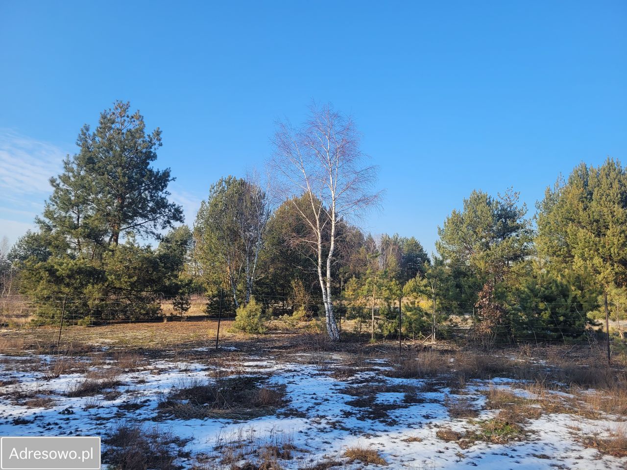 Działka budowlana Grabów nad Pilicą, ul. Polna. Zdjęcie 6