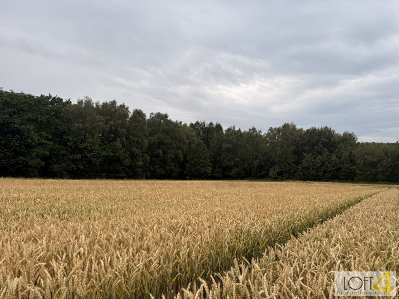 Działka rolno-budowlana Wojnicz. Zdjęcie 15